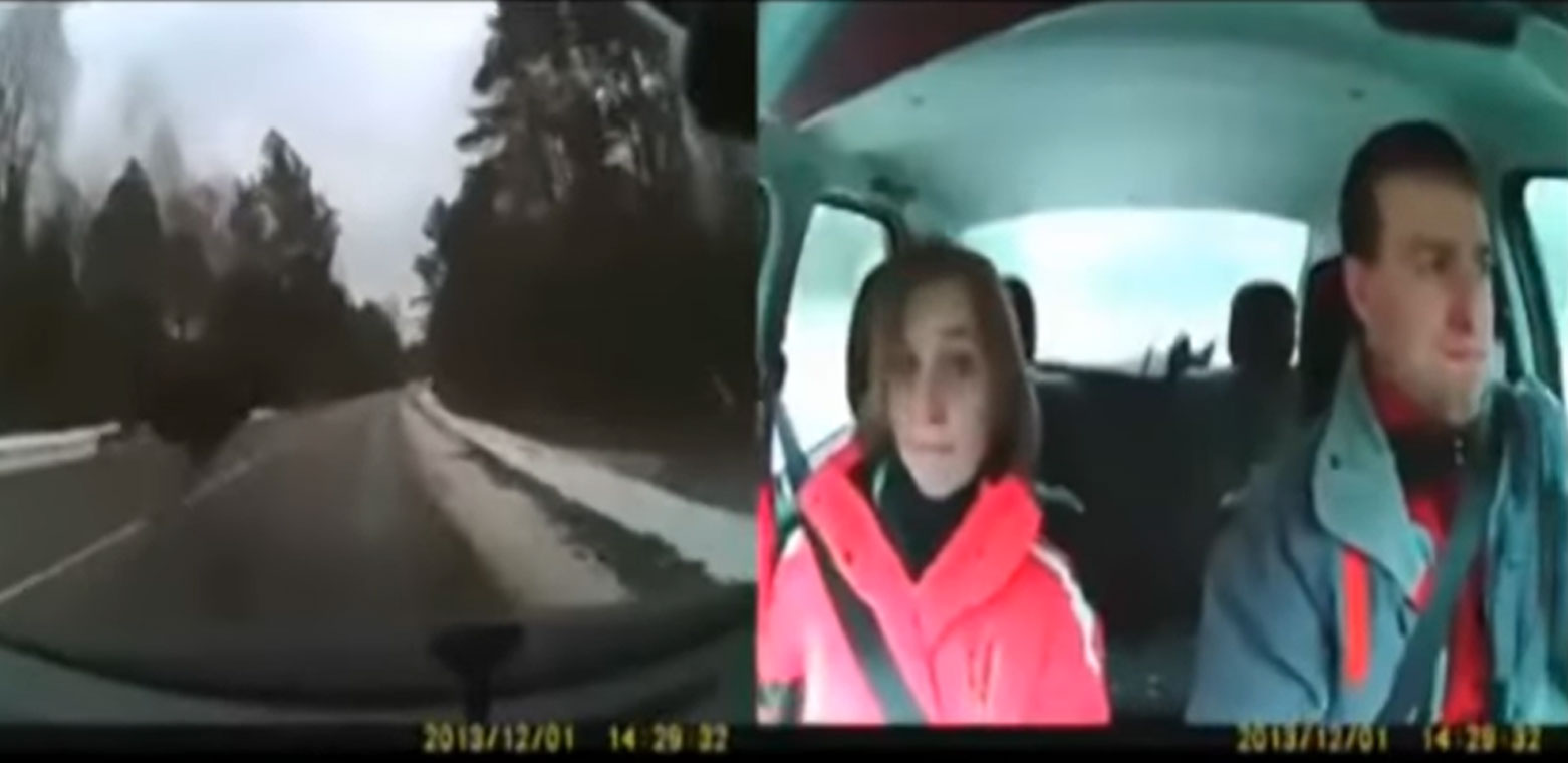 Couple Hits Moose Crossing a Highway